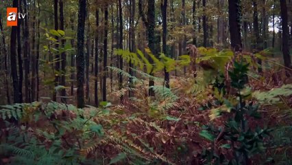 “Ya birlikte savaşırız ya da birlikte ölürüz!”