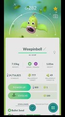 Pokémon GO-Evolving Shiny Weepinbell