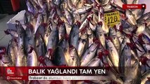 Trabzon'da olumsuz hava şartları palamudun fiyatını artırdı