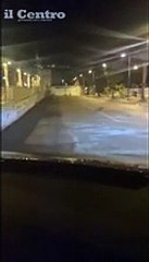 Il lupo a Vasto marina, vede l'auto e scappa