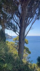 LES PLUS BEAUX endroits de Croatie