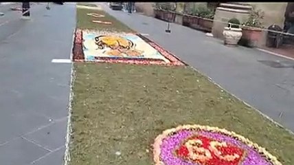 Lungo tappeto di petali e foglie per il Corso di Chieti