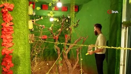 Burası bir berber mi yoksa hayvanat bahçesi mi, kararı siz verin