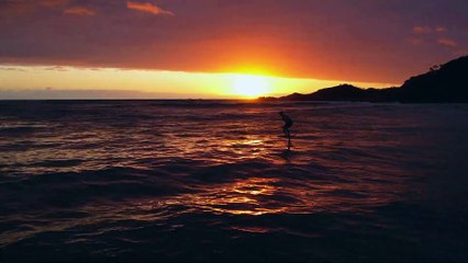 Zane Westwood Sunrise Foil Surfing Glides