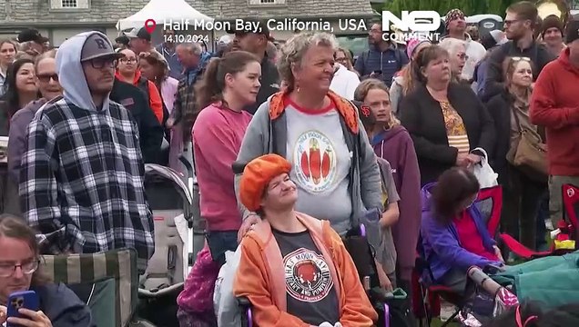 No Comment: Kaliforniens Riesenkürbisse