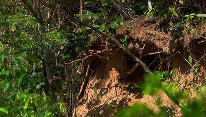 Sunrise Earth - Secrets of the Sun