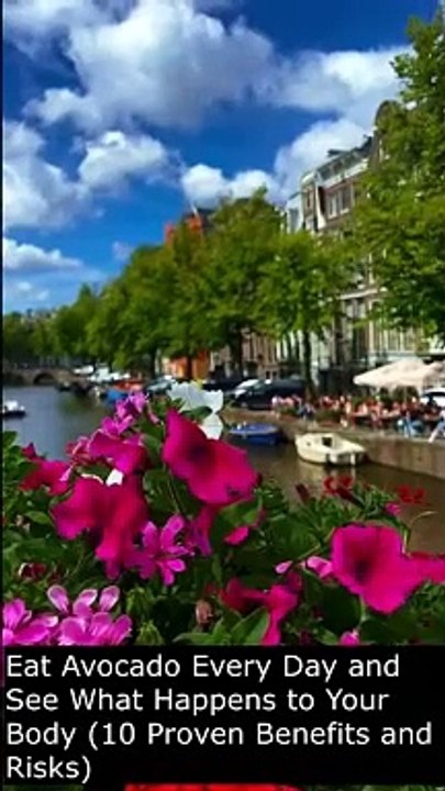  **Eat Avocado Every Day and See What Happens to Your Body! | 10 Proven Benefits & Risks** 