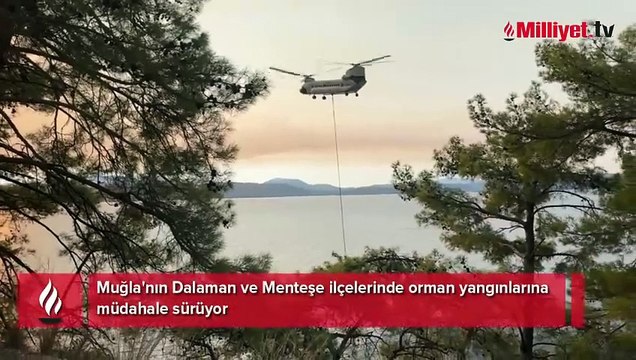 Muğla'nın 2 ilçesinde orman yangını: Evler tahliye edildi
