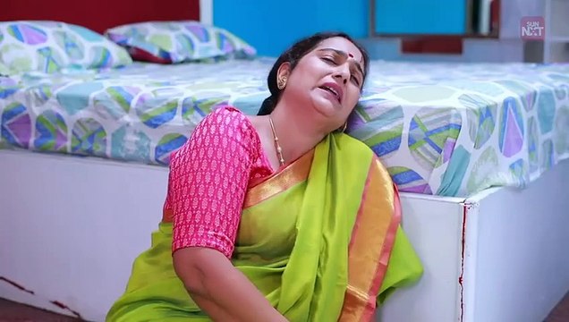 Ilakkiya 19-10-2024 Sun Tv Serial Serials in Tamil