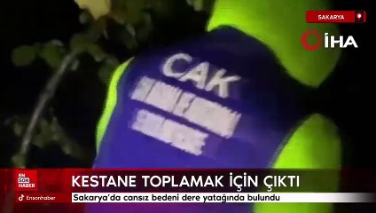 Sakarya’da kestane toplamaya diye evinden çıktı, cansız bedeni dere yatağında bulundu
