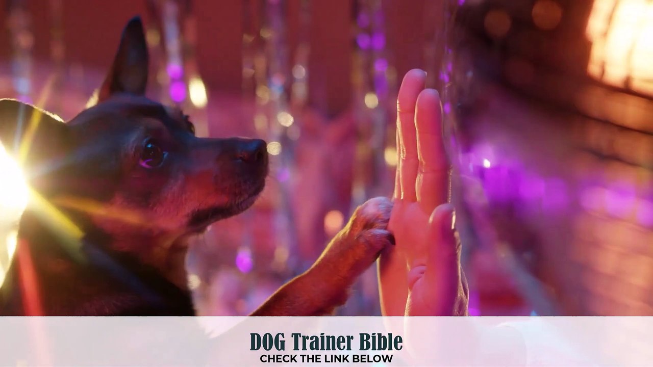 The Dog Trainer Bible Product Review