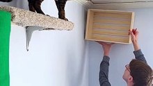 I Built A Cat Wall Playground