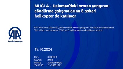 Dalaman'daki yangından güzel haber