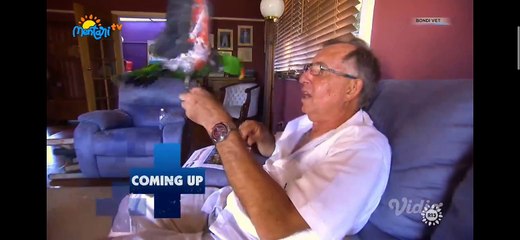 Bondi Vet part 1