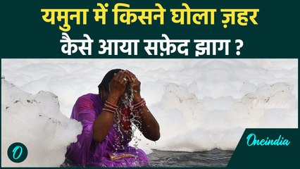 Delhi Pollution: दिल्ली की यमुना नदी में कहां से आता है जहरीला पानी | Yamuna Pollution | वनइंडिया