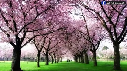 أغنية يا حرام الكفار يسبحون في بحر النار - جوان صفدي  The infidels in hell - Joan Safadi (official vedio music)