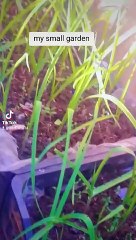 6ccc6aae587b34f15a785ef944771b7e