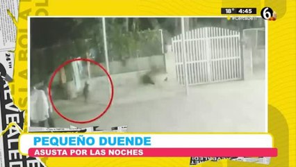 Pequeño duende asusta por las noches