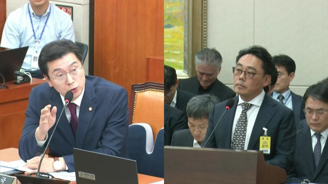 한국말 하더니 갑자기 영어? ...국감서 '통역 설전' / YTN