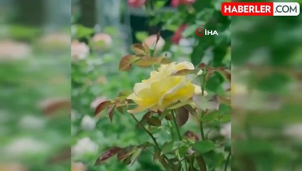 Yozgat Belediye Başkanı Arslan'dan Bolu Belediye Başkanı Özcan'a Sert Cevap