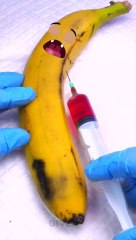 Muz canlıdır Cerrahi operasyona ihtiyacı vardır Meyveyi kurtarın#şort