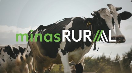 Confira a íntegra do programa Minas Rural deste sábado (19)!