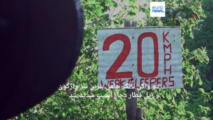 تصادف قطار با یک گله فیل در سریلانکا؛ ۲ فیل تلف شدند و خط راه آهن خسارت دید