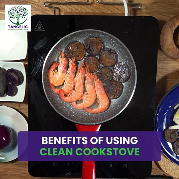 Clean Cookstoves: Transforming Lives with Sustainable Solutions