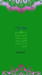 شہید کون کون سے ہیں