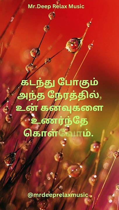 Relaxing Music Whispers of Relaxation: Your Ultimate Chill Music