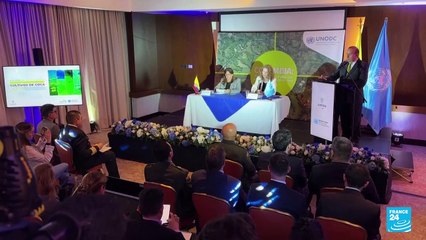 Aumentan áreas cultivadas de coca en Colombia; producción de cocaína aumentó un 53% en 2023