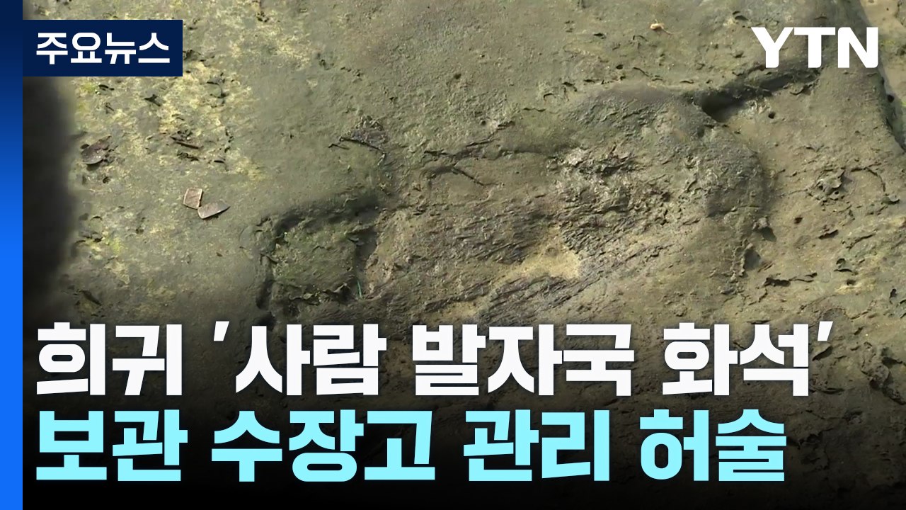 희귀 '사람 발자국 화석' 보관 수장고 관리 허술 / YTN