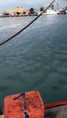 Ore 16,21 del 27 luglio: dopo la pioggia si aprono gli scarichi nel porto canale a Pescara