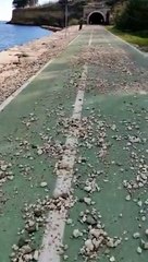 La Via Verde piena di sassi