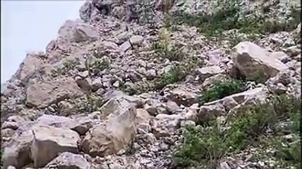 I camosci delle Gole di Fara San Martino danno il benvenuto ai visitatori