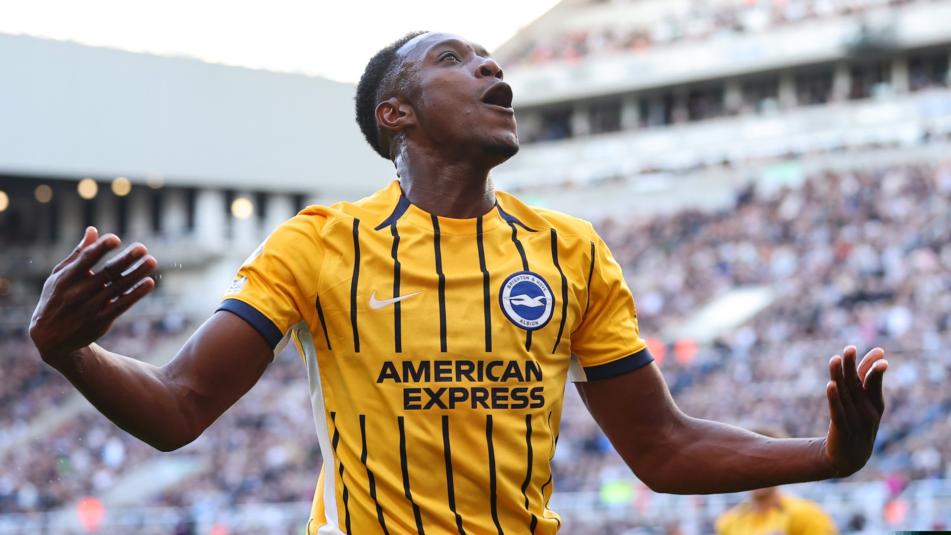 Newcastle United v Brighton & Hove Albion