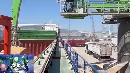 One more wheat unloading at Izmir port