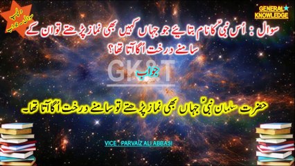 Test Your Islamic Knowledge: Fascinating Questions & Answers for 2024!