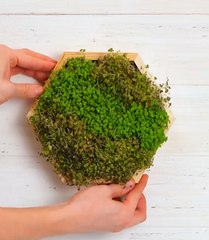 Home decor ideas which are beautiful and eco-friendly too!