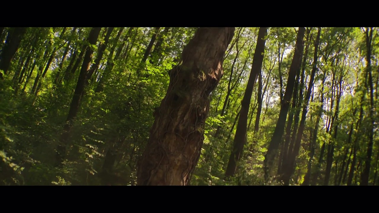 BAGMAN Film
