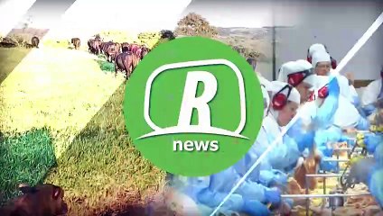 Felipe Massa afirma que brasileiro não deve ter receio de investir em carros elétricos