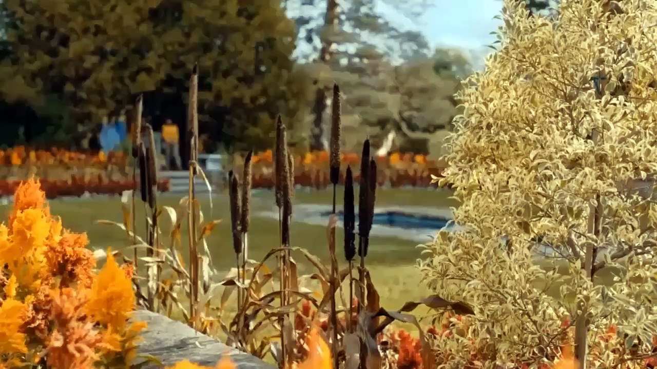 Curious Caterer Forbidden Fruit 2024-New Hallmark Romance Movies 2024-Best Hallmark Christmas Movies