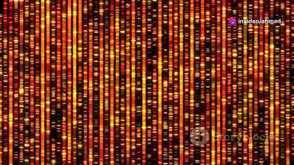 The Human Genome Project Explained!