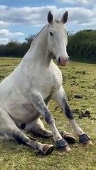 What do you think is going on through his head?