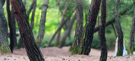 Batalla de amor y poder Temp 1 Episodio 12