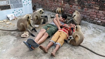 Bandar mama pahan pajama dawat khane aaye