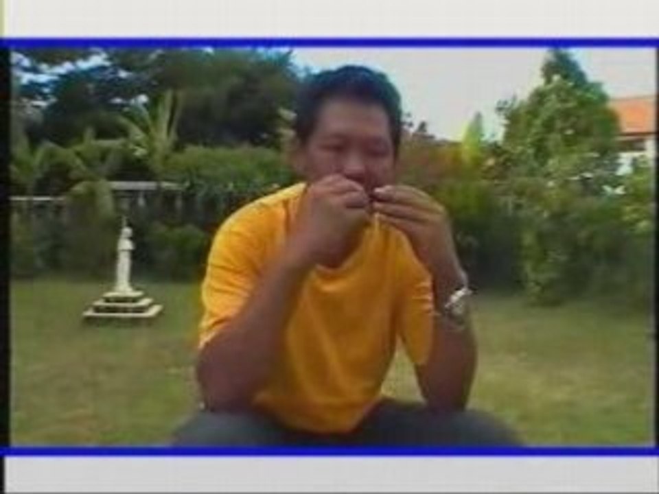 Alain sambava raho voa maraina