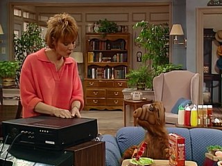 Alf Temporada 1 Capitulo 13 Español Latino