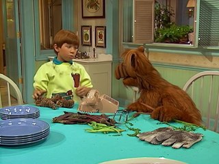 Alf Temporada 1 Capitulo 17 Español Latino
