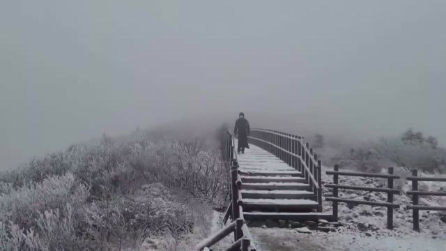 설악산 올가을 첫눈 '펑펑'...지난해보다 이틀 빨라 / YTN